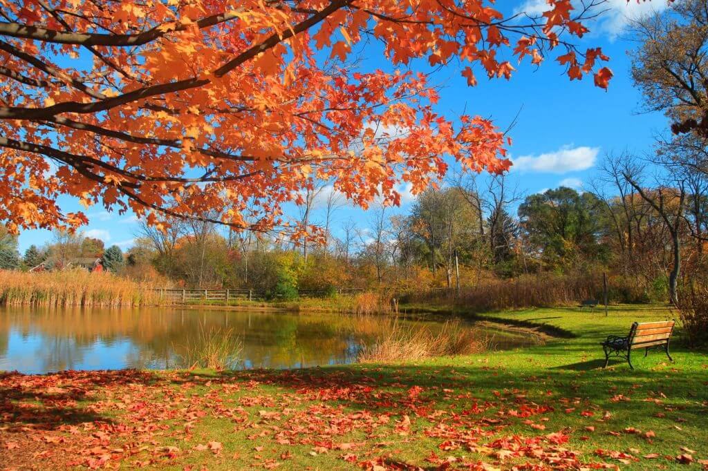 Beautiful autumn scenery in Michigan