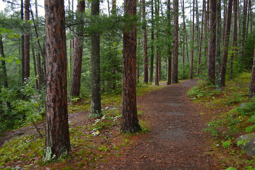 Kilen Woods State Park